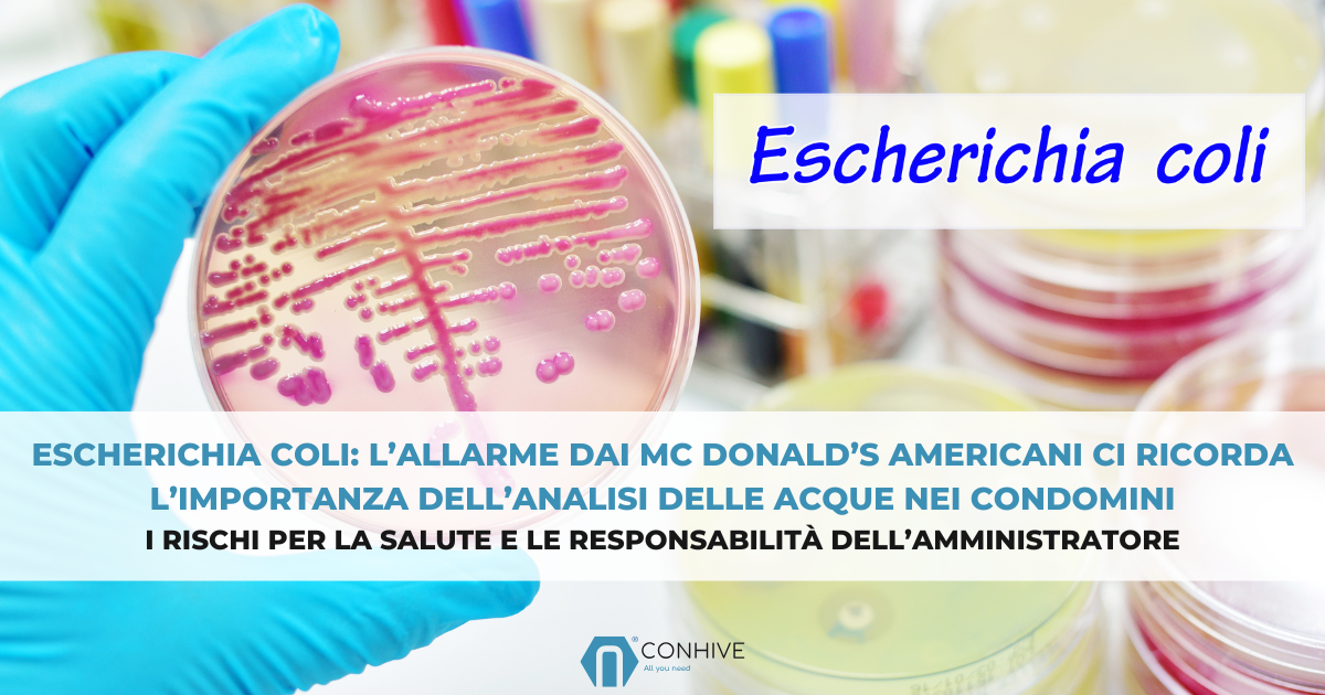 Escherichia coli: l’allarme dai Mc Donald’s americani ci ricorda l ...